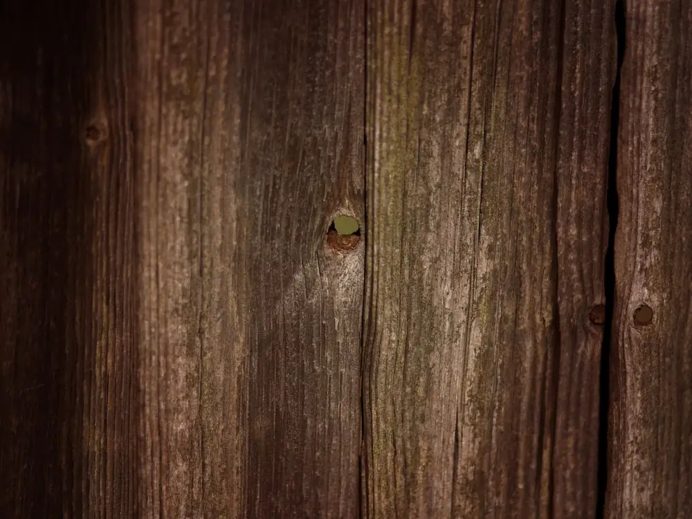 Close-up of weathered vertical timber fence boards