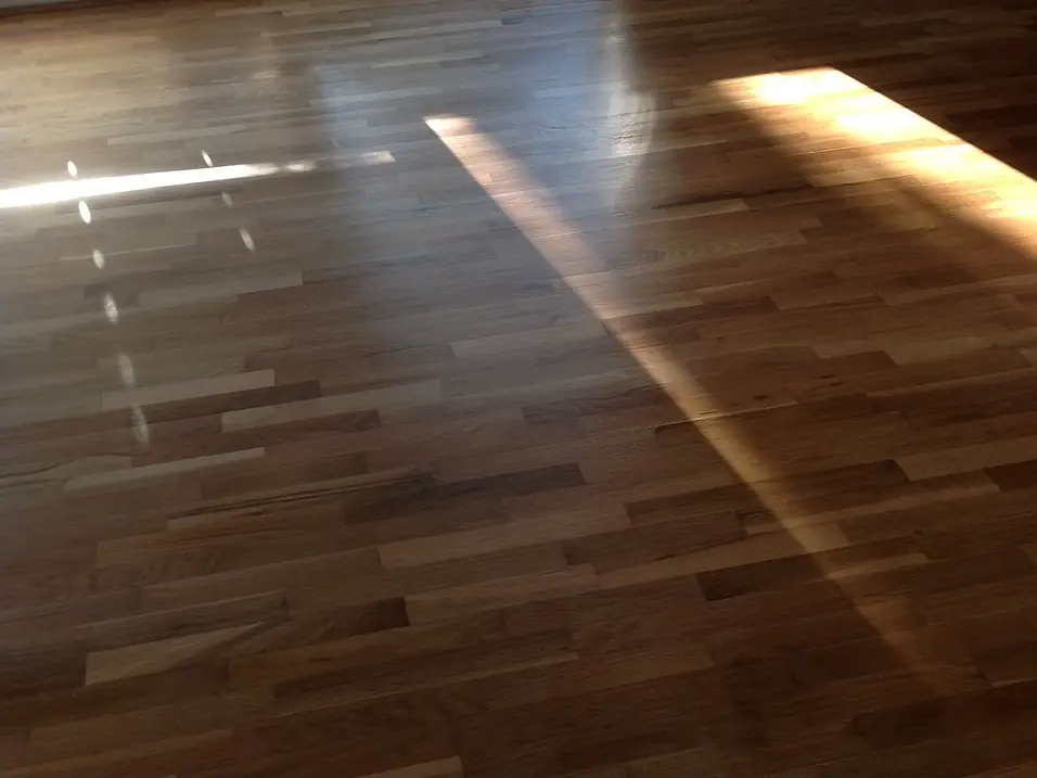 A hardwood floor with afternoon light across the boards